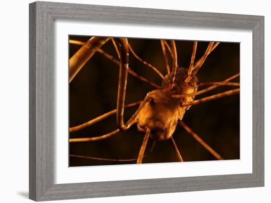 Conceptual biomedical illustration of gastroenteritis.-Stocktrek Images-Framed Art Print