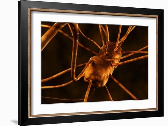 Conceptual biomedical illustration of gastroenteritis.-Stocktrek Images-Framed Art Print