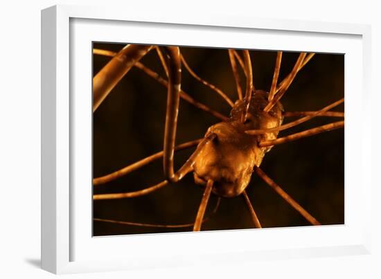 Conceptual biomedical illustration of gastroenteritis.-Stocktrek Images-Framed Art Print