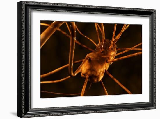 Conceptual biomedical illustration of gastroenteritis.-Stocktrek Images-Framed Art Print