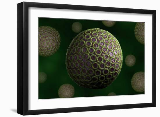 Conceptual biomedical illustration of Rift Valley fever.-Stocktrek Images-Framed Art Print