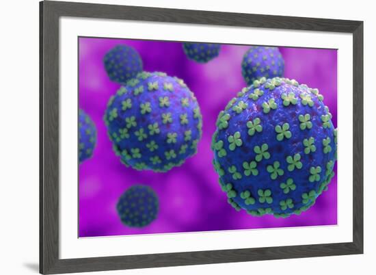 Conceptual biomedical illustration of the Hantaan virus.-Stocktrek Images-Framed Art Print