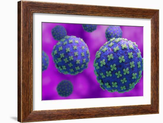 Conceptual biomedical illustration of the Hantaan virus.-Stocktrek Images-Framed Art Print