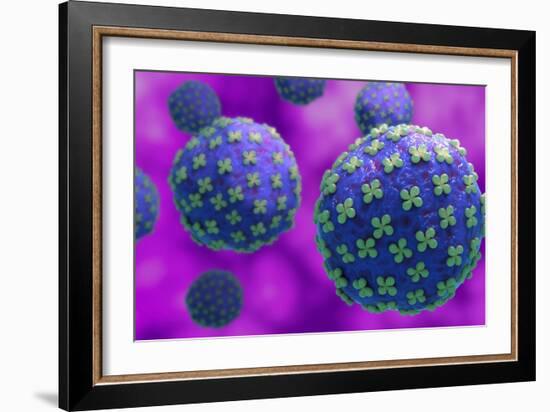 Conceptual biomedical illustration of the Hantaan virus.-Stocktrek Images-Framed Art Print