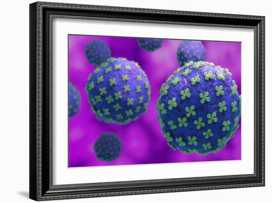 Conceptual biomedical illustration of the Hantaan virus.-Stocktrek Images-Framed Art Print