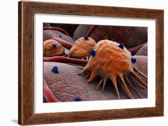 Conceptual image of a drug attacking the cancer virus.-Stocktrek Images-Framed Art Print