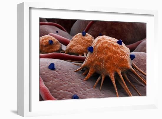 Conceptual image of a drug attacking the cancer virus.-Stocktrek Images-Framed Art Print