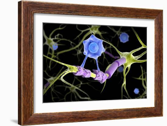 Conceptual image of a multiple sclerosis neuron healed by a T-cell.-Stocktrek Images-Framed Art Print