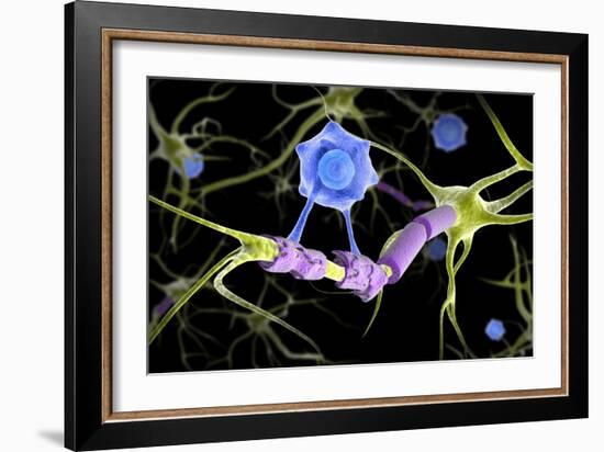 Conceptual image of a multiple sclerosis neuron healed by a T-cell.-Stocktrek Images-Framed Art Print