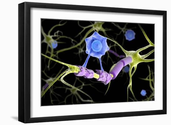 Conceptual image of a multiple sclerosis neuron healed by a T-cell.-Stocktrek Images-Framed Art Print