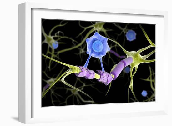 Conceptual image of a multiple sclerosis neuron healed by a T-cell.-Stocktrek Images-Framed Art Print