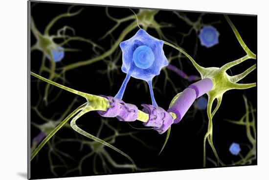Conceptual image of a multiple sclerosis neuron healed by a T-cell.-Stocktrek Images-Mounted Art Print
