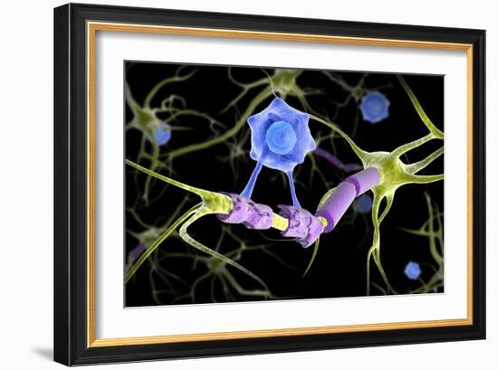 Conceptual image of a multiple sclerosis neuron healed by a T-cell.-Stocktrek Images-Framed Art Print