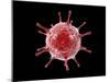 Conceptual image of a virus.-Stocktrek Images-Mounted Art Print