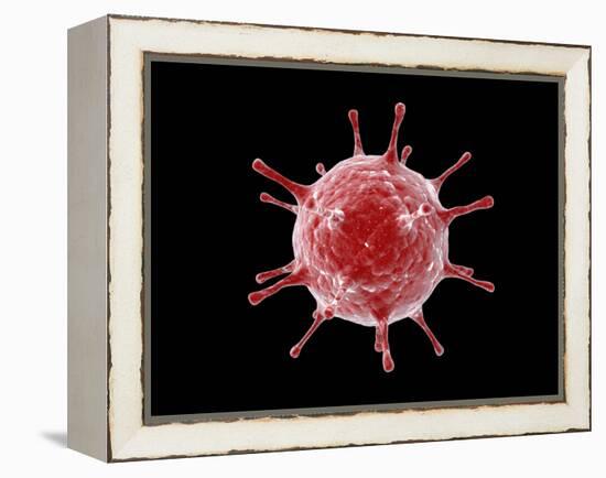 Conceptual image of a virus.-Stocktrek Images-Framed Stretched Canvas