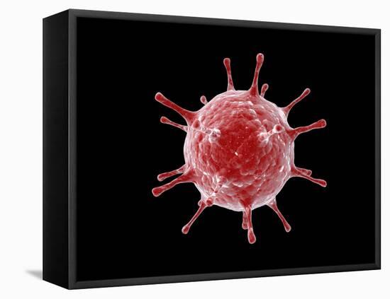 Conceptual image of a virus.-Stocktrek Images-Framed Stretched Canvas