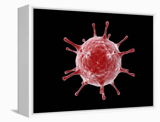 Conceptual image of a virus.-Stocktrek Images-Framed Stretched Canvas