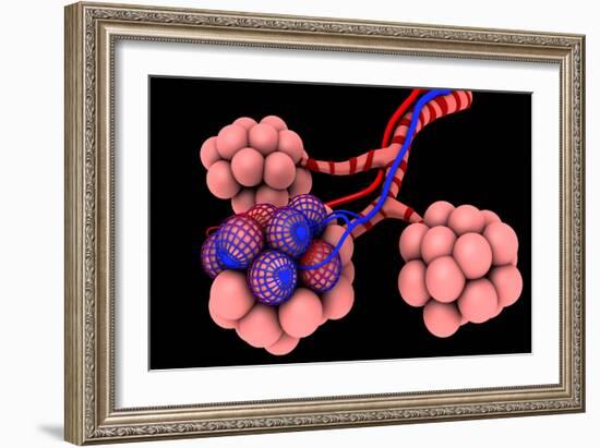 Conceptual Image of Alveoli-null-Framed Art Print