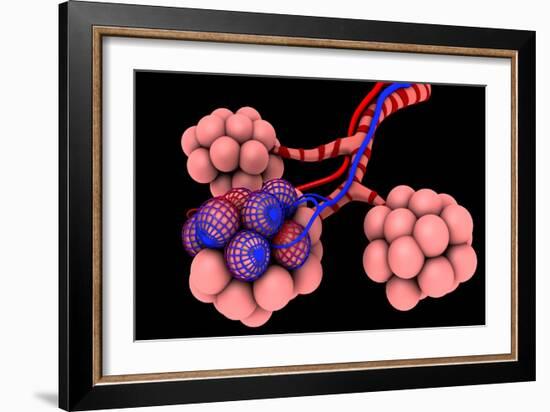 Conceptual Image of Alveoli-null-Framed Art Print