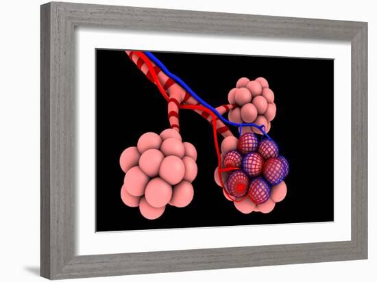 Conceptual Image of Alveoli-null-Framed Art Print