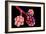 Conceptual Image of Alveoli-null-Framed Art Print