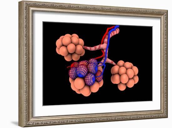 Conceptual Image of Alveoli-null-Framed Art Print