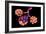 Conceptual Image of Alveoli-null-Framed Art Print