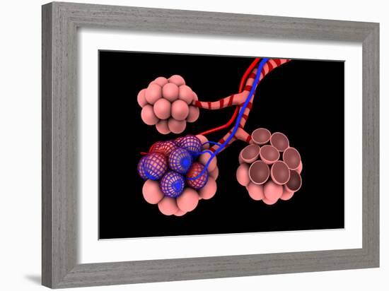 Conceptual Image of Alveoli-null-Framed Art Print