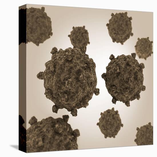 Stretched Canvas Print, , large