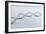 Conceptual Image of Dna-null-Framed Art Print