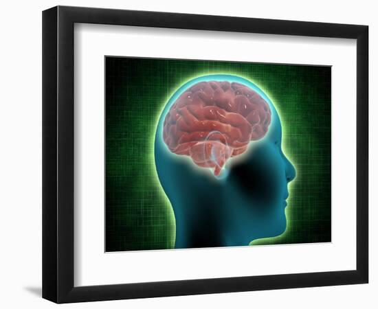 Art Print, , large