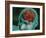 Conceptual Image of Female Body with Brain, Side View-null-Framed Art Print