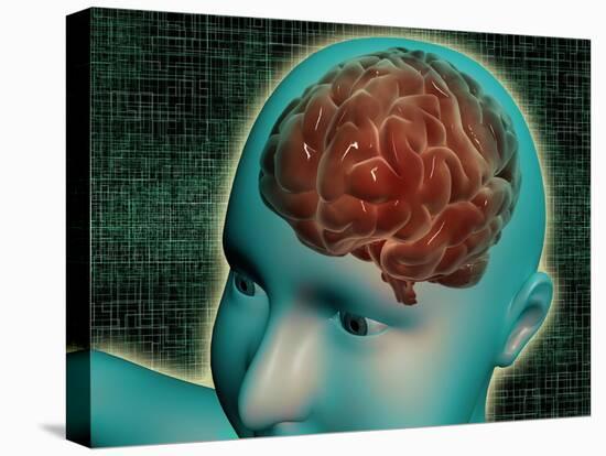 Stretched Canvas Print, , large