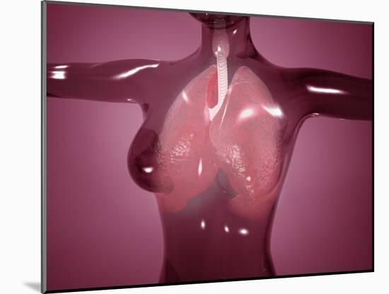 Conceptual Image of Female Body with Lungs, Glassy Look-null-Mounted Art Print