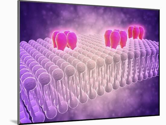 Conceptual Image of Gaba Receptors-null-Mounted Art Print