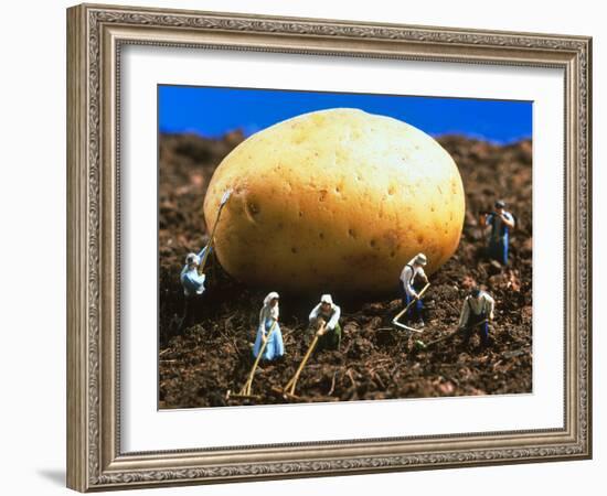 Conceptual Image of Genetically Engineered Potato-Mauro Fermariello-Framed Photographic Print