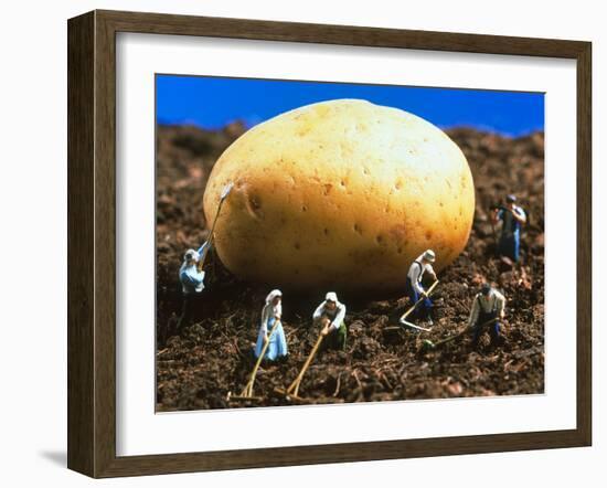 Conceptual Image of Genetically Engineered Potato-Mauro Fermariello-Framed Photographic Print