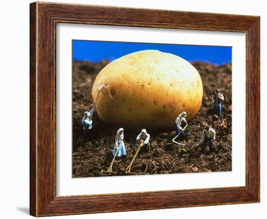 Conceptual Image of Genetically Engineered Potato-Mauro Fermariello-Framed Photographic Print