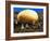 Conceptual Image of Genetically Engineered Potato-Mauro Fermariello-Framed Photographic Print