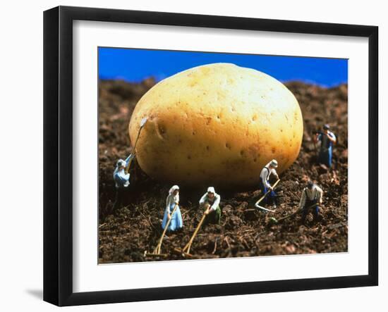 Conceptual Image of Genetically Engineered Potato-Mauro Fermariello-Framed Photographic Print