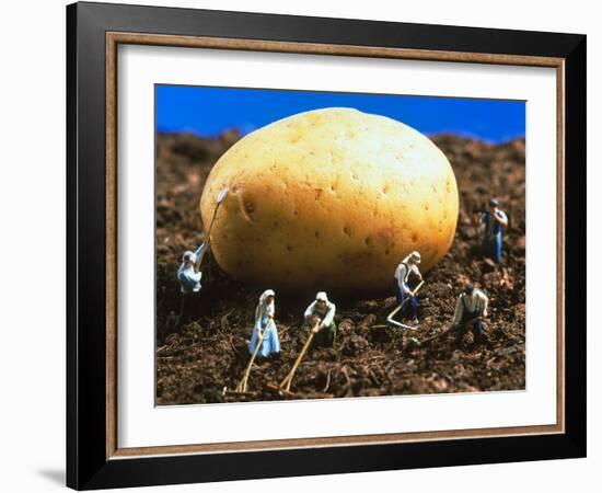 Conceptual Image of Genetically Engineered Potato-Mauro Fermariello-Framed Photographic Print