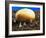 Conceptual Image of Genetically Engineered Potato-Mauro Fermariello-Framed Photographic Print