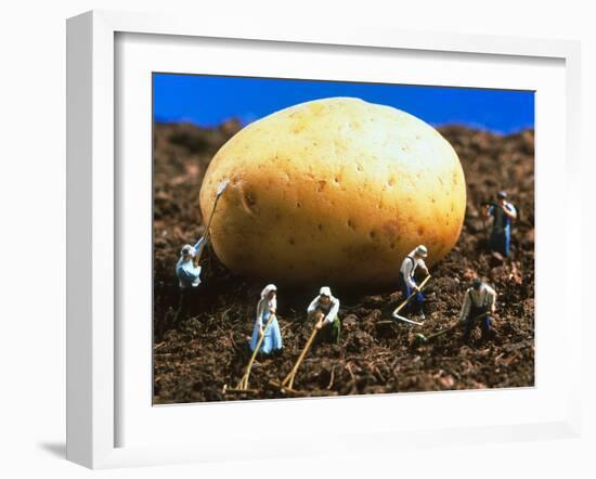 Conceptual Image of Genetically Engineered Potato-Mauro Fermariello-Framed Photographic Print