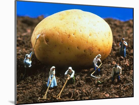 Conceptual Image of Genetically Engineered Potato-Mauro Fermariello-Mounted Photographic Print