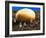 Conceptual Image of Genetically Engineered Potato-Mauro Fermariello-Framed Photographic Print