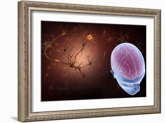 Conceptual Image of Human Brain with Neurons-Stocktrek Images-Framed Art Print