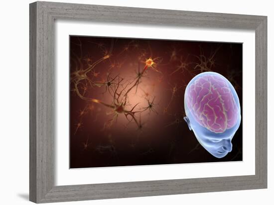 Conceptual Image of Human Brain with Neurons-Stocktrek Images-Framed Art Print