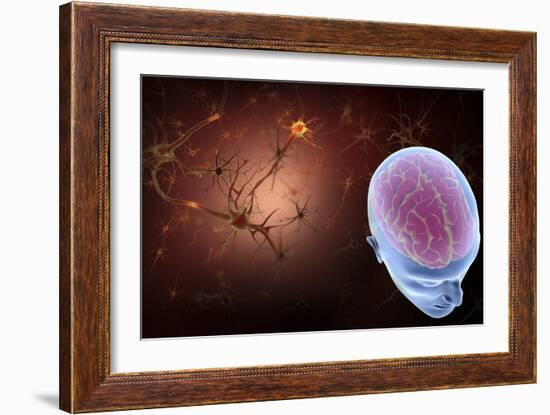 Conceptual Image of Human Brain with Neurons-Stocktrek Images-Framed Art Print
