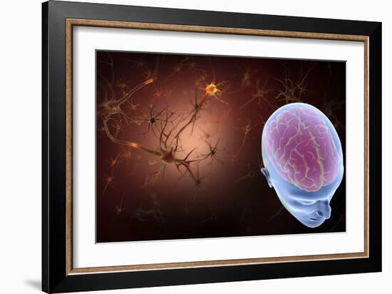 Conceptual Image of Human Brain with Neurons-Stocktrek Images-Framed Art Print