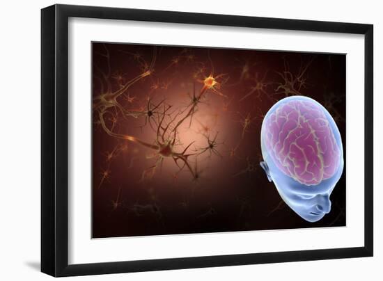 Conceptual Image of Human Brain with Neurons-Stocktrek Images-Framed Art Print